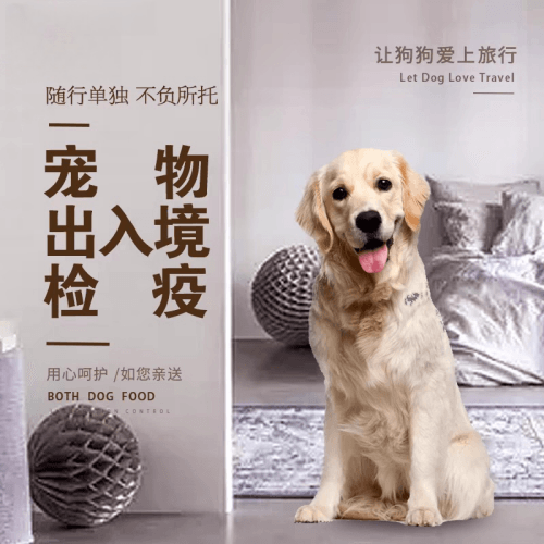 河南省宠物托运到哥伦比亚猫狗宠物入境规定和