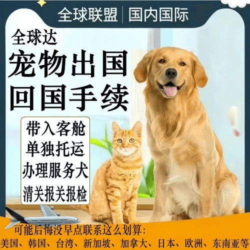 河南省宠物托运到柬埔寨宠物入境规定和要求