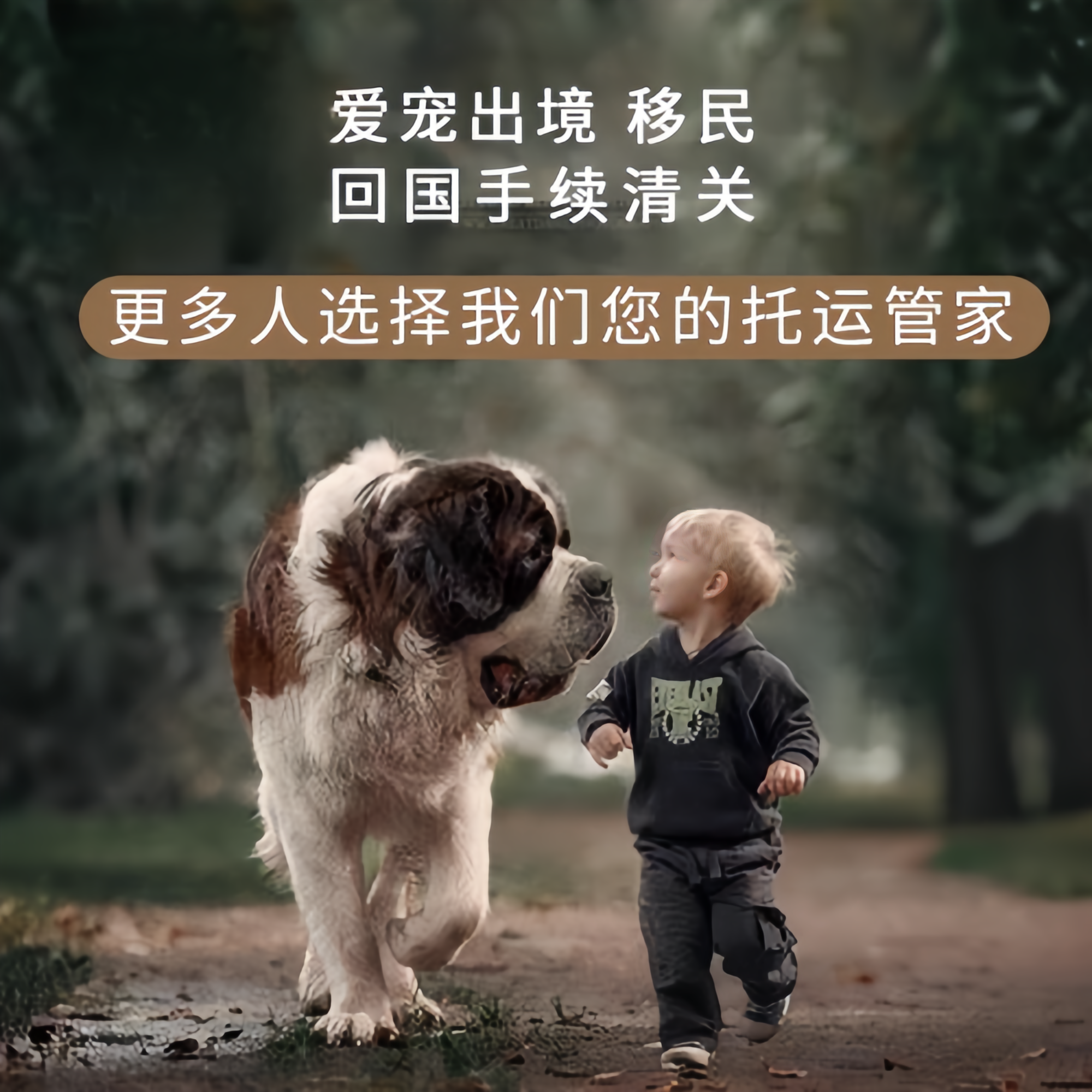 满财河南省宠物全球达宠物托运在遵守入境目的地政策的条件