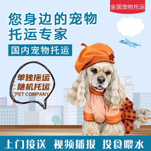 满财河南省宠物全球达宠物托运作为专业的宠物运输代理机构